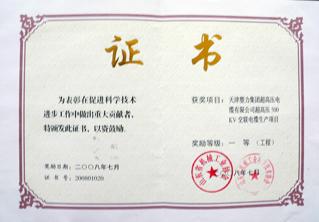 2008天津塑力廳一等獎.jpg